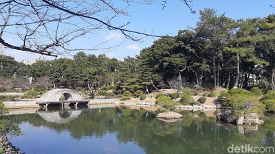 Foto: Taman Romantis di Jepang, Cocok Untuk Syahrini dan Reino