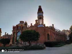 Hasil Foto Realme 3, Galaxy M20, dan Redmi Note 7, Oke Mana?