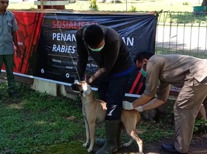 21 Orang Kena Rabies di Kolut Sultra
