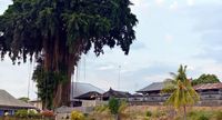 Desa Bengkala, Kubutambahan, Buleleng, Bali (Mark Eveleigh/BBC Travel)