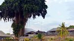 Potret Warga Desa Pemakai Bahasa Isyarat dari Bali