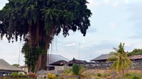 Desa Bengkala berada di Kecamatan Kubutambahan, Kabupaten Buleleng, Bali, Indonesia yang dikenal memiliki puluhan warga bisu-tuli atau dikenal sebagai Kolok (Mark Eveleigh/BBC Travel)