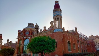 Realme 3. Foto: GSM Arena