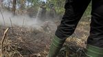 Potret Kebakaran Lahan dan Hutan di Kawasan Riau