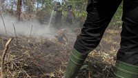 Selain di Bengkalis, satgas Kebakaran Hutan dan Lahan Provinsi Riau juga terus berupaya melakukan pemadaman bara api yang membakar lahan gambut di Pekanbaru, Riau. Antara Foto/Rony Muharrman.
