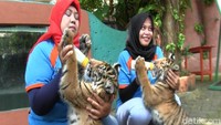 Okta dan Via, masing-masing berbobot 5 kg.