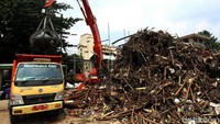 Sampah yang menumpuk di Pintu Air Manggarai itu tak hanya dipenuhi sampah plastik dan rumah tangga, tetapi ada juga ranting dan batang pohon.