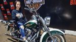 Dara Penjinak Harley