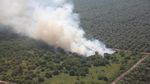 Potret Kebakaran Lahan dan Hutan di Kawasan Riau