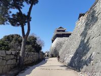 (Bonauli/detikTravel)