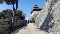 Layaknya kastil zaman dulu yang memiliki banyak pengamanan, Matsuyama Castle memiliki benteng yang tinggi sebagai menara pandang. (Bonauli/detikTravel)