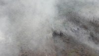 Kebakaran hutan dan lahan perkebunan sawit rakyat di sejumlah titik itu diketahui terjadi akibat cuaca panas di Desa Bukit Kerikil Bengkalis dan Gurun Panjang Dumai, Riau. Antara Foto/Aswaddy Hamid.