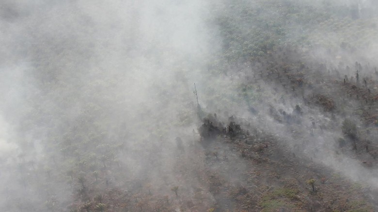 Aktivis Desak Kapolri Copot Kapolres yang Lahan dan Hutannya Terbakar Aktivis Desak Kapolri Copot Kapolres yang Lahan dan Hutannya Terbakar