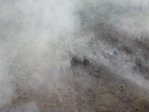 Bikin Hujan Buatan, 17 Ton Garam Segera Disebar di Langit Riau