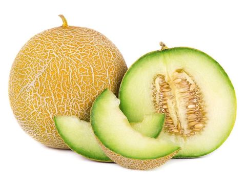 Cantaloupe melon isolated on white background. Juicy and sweet cantaloupe melon isolated on white background