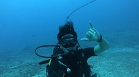 Lokasi diving adalah Shark Point di Gili Meno, di sana ada sebuah kapal karam bernama Glenn Wreck yang sengaja ditenggelamkan (My Trip My Adventure)