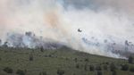 Potret Kebakaran Lahan dan Hutan di Kawasan Riau
