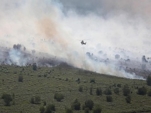 2.199 Warga Dumai Riau Kena Infeksi Pernapasan Akibat Kabut Asap