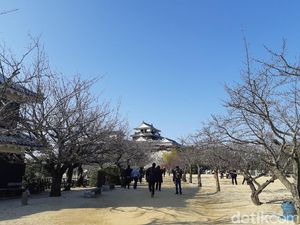 Kastil di Jepang Dibikin Pakai Telur dan Batu, Percaya?