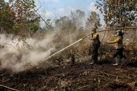 Potret Kebakaran Lahan Dan Hutan Di Kawasan Riau