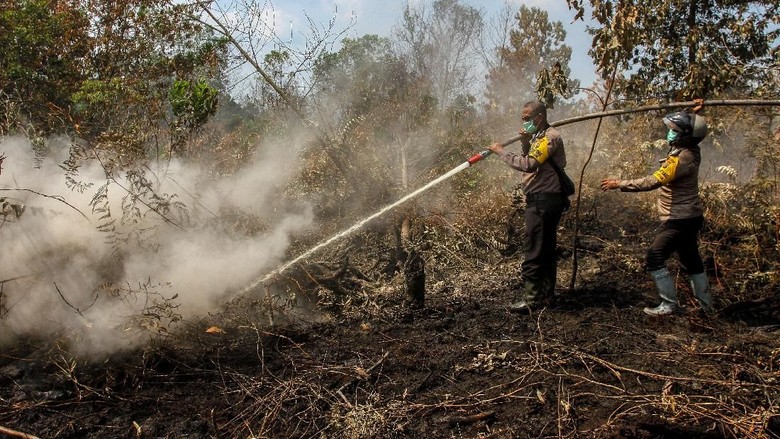 60% Lahan yang Terbakar di Aceh Bisa Dipadamkan
