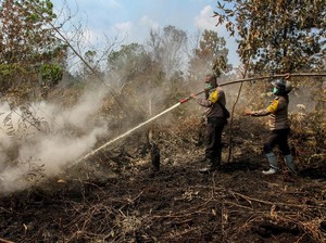 60% Lahan yang Terbakar di Aceh Bisa Dipadamkan