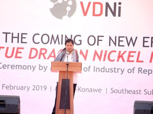 Industri Smelter Nikel Berinvestasi USD 1 Miliar Dibangun di Sulteng