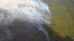 Potret Kebakaran Lahan dan Hutan di Kawasan Riau