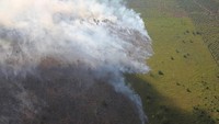 Kepala Badan Penanggulangan Bencana Daerah (BPBD) Edwar Sanger menyebut luas kebakaran lahan di Kabupaten Bengkalis mencapai 742 hektare. Area itu pun menjadi yang terluas terdampak kebakaran hutan dan lahan di Riau. Antara Foto/Aswaddy Hamid.