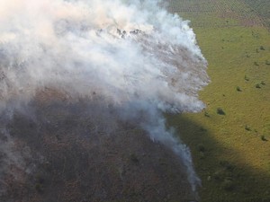 Sudah 6 Hari Kepulauan Meranti Riau Dilanda Kebakaran Hutan