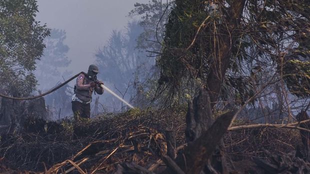 Menteri LHK Usut Pemegang Konsesi Terkait Karhutla di Riau