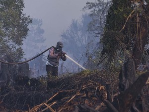 Atasi Karhutla Riau, KLHK Manfaatkan Teknologi Modifikasi Cuaca
