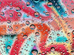 Karya Fotografer Indonesia Menangi Kontes Shot on iPhone