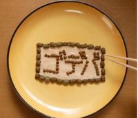 Kreatif! Pemilik Kucing Bikin Plating Makanan untuk 2 Kucingnya