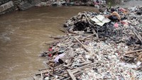 Kebanyakan sampah yang tersangkut adalah batang kayu dan plastik.