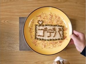 Kreatif! Pemilik Kucing Bikin Plating Makanan untuk 2 Kucingnya