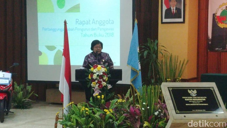 Menteri LHK soal Kebakaran Hutan Riau: Sudah Ditetapkan Siaga Darurat Menteri LHK soal Kebakaran Hutan Riau: Sudah Ditetapkan Siaga Darurat