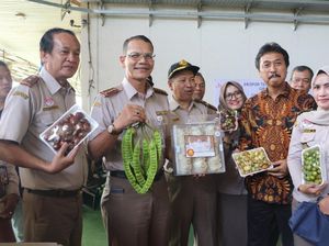 Jengkol Hingga Petai Diekspor, Nilainya Tembus Rp 1,26 T