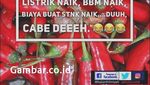 Huah! Pedasnya 8 Meme Cabe Ini Dijamin Bikin Lebih Happy