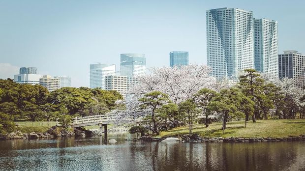 Lokasi Foto Prewedding nan Instagramable di Tokyo