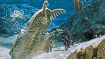Hal ini membuat bingung para peneliti karena ia hidup jutaan tahun sebelum ledakan Cambrian, atau 541 juta tahun lalu, ketika makhluk hidup mulai bertambah besar. (Gambar: Nature)