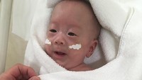 Bayi itu diketahui lahir setelah menjalani operasi C-section pada bulan Agustus lalu di Universitas Keio, Tokyo, Jepang. Setelah mendapat perawatan intensif bobot bayi itu tumbuh menjadi 3,5 kilogram dan kondisinya semakin sehat sehingga sudah diperbolehkan pulang. Keio University School of Medicine, Departement of Pediatrics/Handout via Reuters.