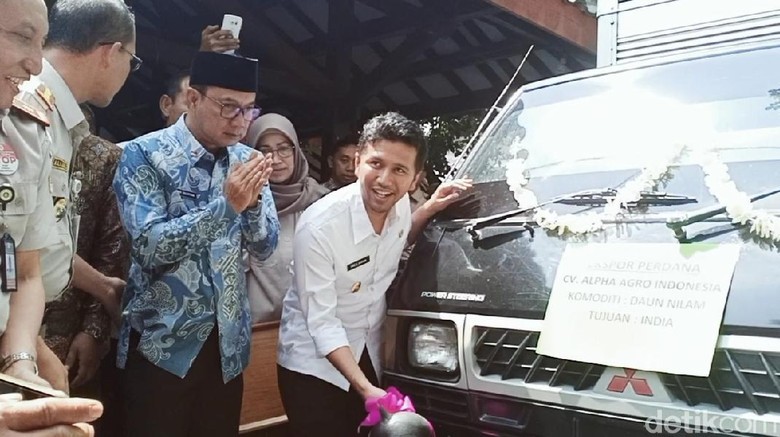 Ekspor Produk Pertanian Jatim Sebulan Capai Rp 2 Triliun Ekspor Produk Pertanian Jatim Sebulan Capai Rp 2 Triliun