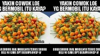 Sepertinya ini jenis cabe mahal ya. Soalnya kalau ditukar hasil jual mobil tak akan dapat banyak cabe unik ini. Foto: Istimewa