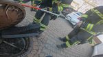 Tikus Terjepit di Saluran Air, Petugas Damkar Jerman Turun Tangan