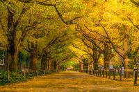  (iStock)