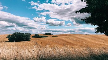 Karya Robert Glaser dari Jerman. Foto ini diambil menggunakan iPhone 7. Foto: Apple