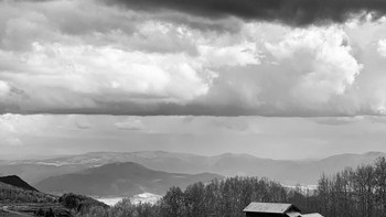 Karya Bernad Antolin dari AS, dipotret memakai iPhone Xs Max. Foto: Apple