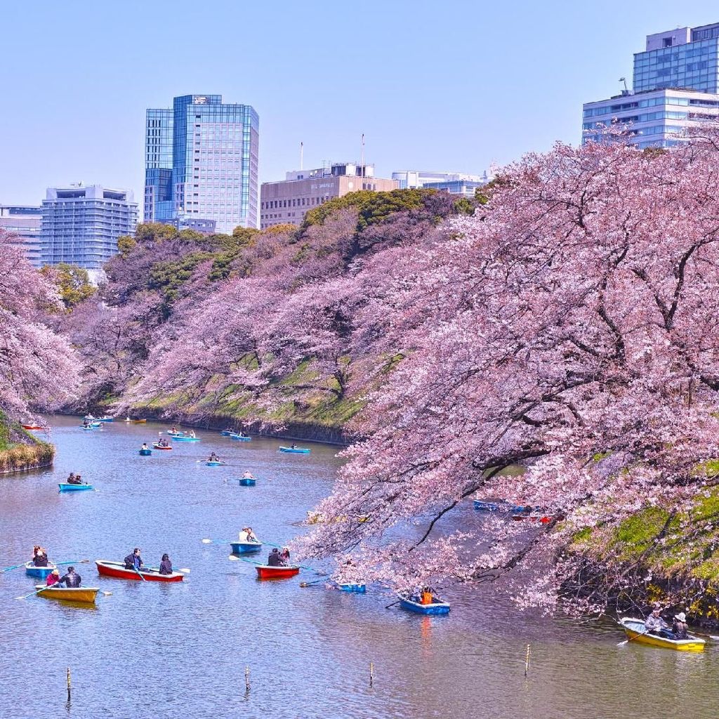 Foto: 7 Tempat Romantis di Tokyo untuk Syahrini dan Reino Barack