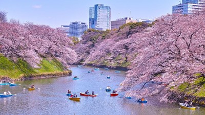 Foto: 7 Tempat Romantis di Tokyo untuk Syahrini dan Reino Barack